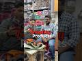 Selling pet accessories online || manufacturer pet accessories in delhi