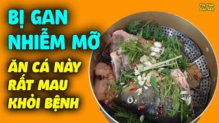 Bị Gan Nhiễm Mỡ Cứ Ăn 3 Loại Cá Này RẤT MAU KHỎI BỆNH Người Lại Rất Khỏe