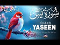 Surah Yaseen(Yasin) سورة يس | Ultimate Relaxing Quran Will Touch Your Heart إن شاء #surahyaseen