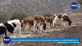 NOTICIAS MUNICIPALES SEQUIA EN LOCALIDAD DE SOCAVON ALTO