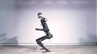 Unitree H1 humnaoid robot world first backflip with electric solution