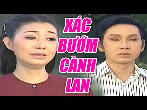 Video: Từ Sâu Bướm đến Bướm: Về Sự Giận Dữ Với Cha Mẹ