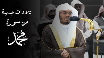 يا أيهَا الّذِين آمنُوا إِن تنصرُوا اللَّهَ ينصركم |تلاوة جديدة لسورة محمد كاملة| للشيخ ياسر الدوسري