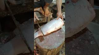 Amazing Big Kali Baush Fish Skinning & Chopping Live In Bangladesh