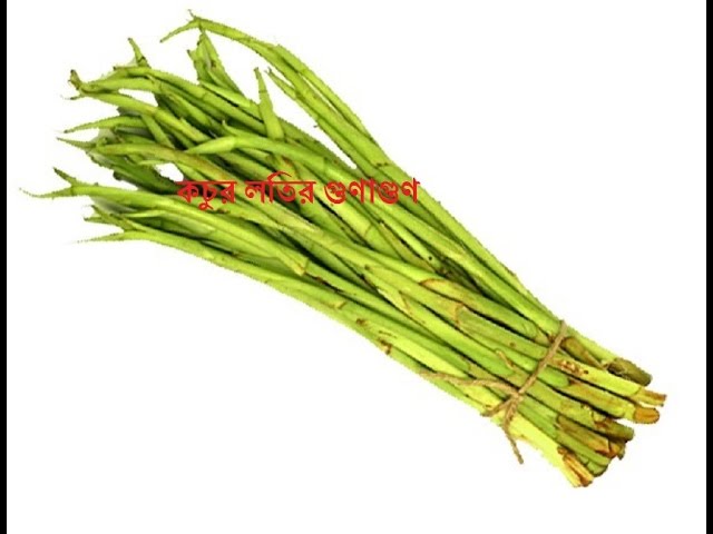 Fairy Tail pornosidan Levi Rossiyadan koreys ayol bilan jinsiy aloqa