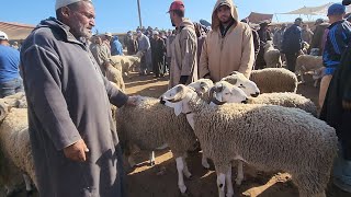 🔥🇲🇦خيرات موجودة في سوق الاسبوعي الاثنين ابن احمد حولى خروف صردى تصوير تاريخ 20/5/2024