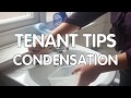 Tenant Tips - Preventing Condensation & Mould