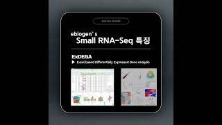 Small Rna-Seq 소개