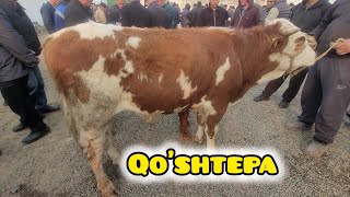: 13 03 2025 Andijon vl oltinko'l tuman qo'shtepa mol bozori