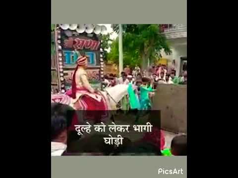 Dulhe Ko Lekar Bhagi Ghodi || दूल्हे को लेकर भागी घोड़ी || All in One Junction