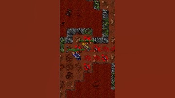 BOTTER TROLLING GM BRIGHTSOUL (Aurea 2007) #oldtibia