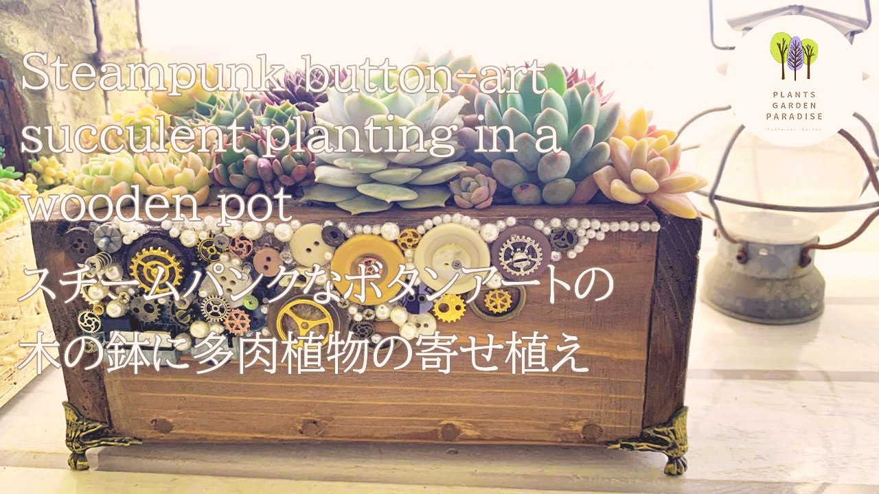 ハンドメイド 多肉植物 スチームパンクなボタンアートの木の鉢に多肉植物の寄せ植え Handmade Succlent Plant Diy Youtube