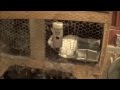 HOBBY FARM UPDATE. Much To My Suprise!!