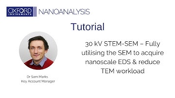 30 kV STEM-SEM – Fully utilising the SEM to acquire nanoscale EDS & reduce TEM workload