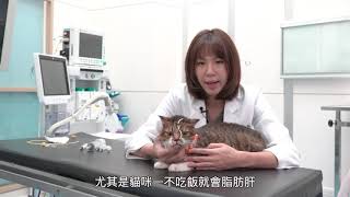 寵物1  鼻胃管   Nasogastric Feeding Tube