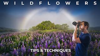 I Went to Photograph Wildflowers... Then Everything Changed