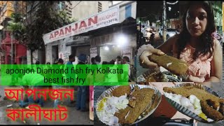 Fish Fry Diamond Fish Fry মানেই 40 বছরের Apanjan Kolkata's Oldeast Street Food Snacks।R_KFood&Travel