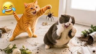 The Funniest Cat Moments Compilation 🙄😂The Funniest Pets of 2026