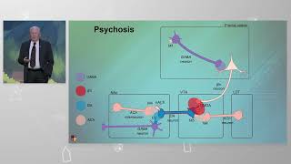 How Muscarinic Stimulation Works