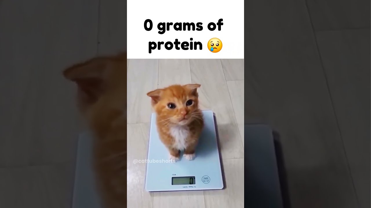 Bro Doesn T Even Exist 