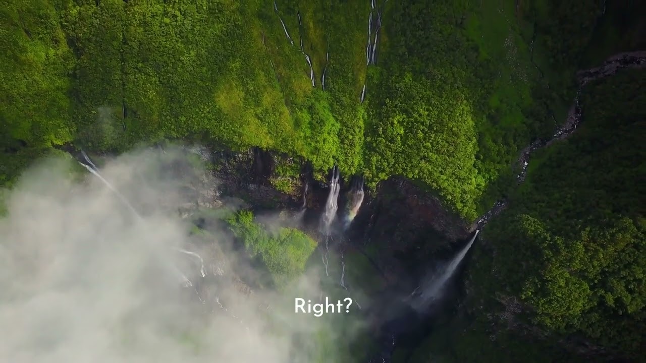 Are you a Quiet Quitter??