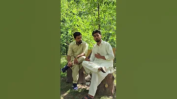 مونژ سره د چین ښکلی شاعر زړه ته د ننووتو شعرونه 