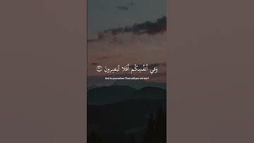 وفي الارض ايات للموقنين وفي انفسكم افلا تبصرون | سورة الذاريات | إسلام صبحي