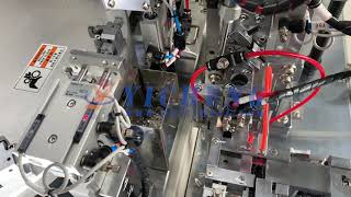 Automatic Assembly Machine For Large Micro Movement Hook Tension Spring大微动勾拉簧自动组装机 外贸