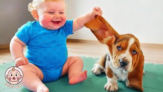 When Your Baby and Dog Is The Funniest Siblings Ever - Funny Baby Video