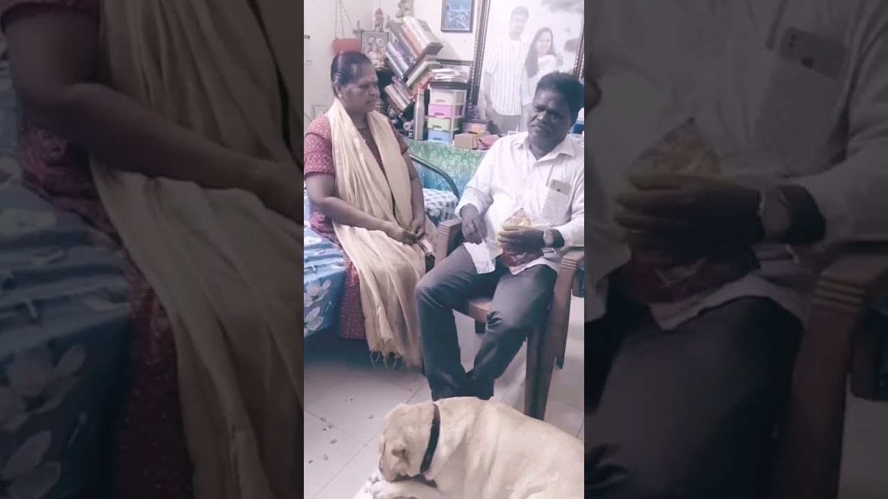 NANUM SAVEN ! #wife #husband #comedy #wifealaparaigal #husbandwife #short2025 #tamilshorts #ytshorts