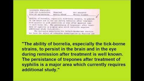 VID2 BRAIN PERMANENT