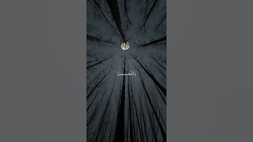 استمع قليلا #القرآن_الكريم #الرحمن #تلاوة_خاشعة