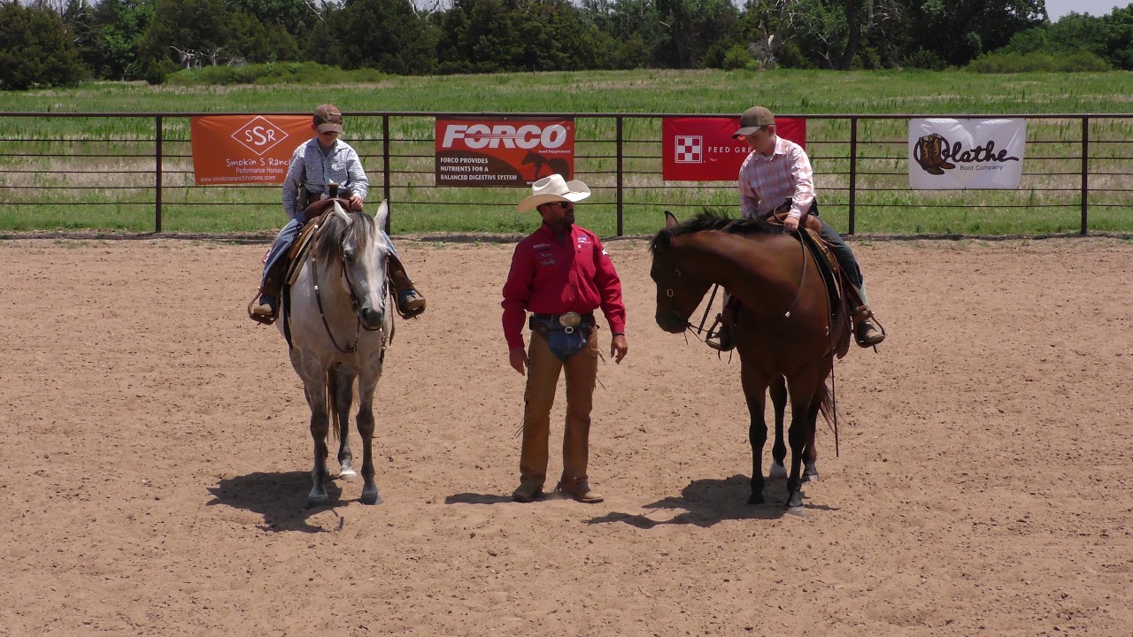 split reins vs  solid rein