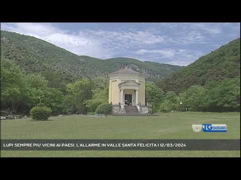 LUPI SEMPRE PIU' VICINI AI PAESI, L'ALLARME IN VALLE SANTA FELICITA | 12/03/2024