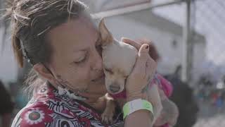 k9 connection | Pets' Landing Free Pet Clinic in Skid Row | 3.13.21 | Teaser Video
