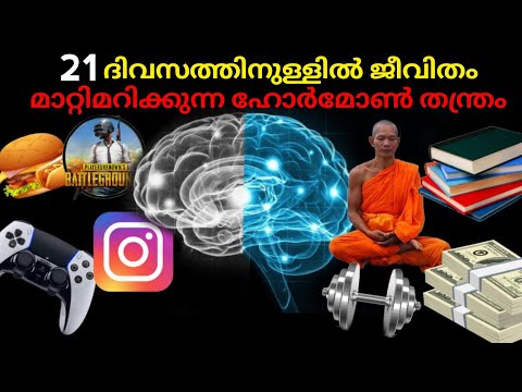 21 DAYS TO CHANGE YOUR LIFE | CHALLENGE - DOPAMINE DETOX BOOK SUMMARY