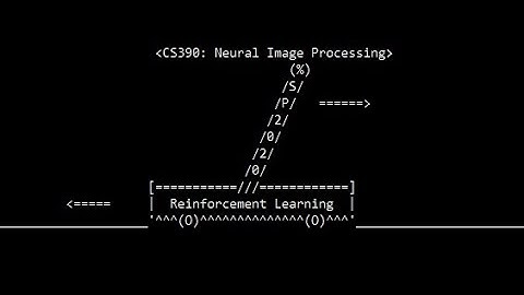 Neural Image Processing: Reinforcement Learning (Spring 2020)