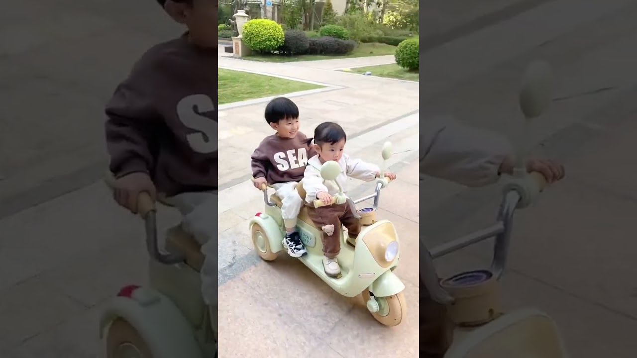 Family Should Buy For Play 