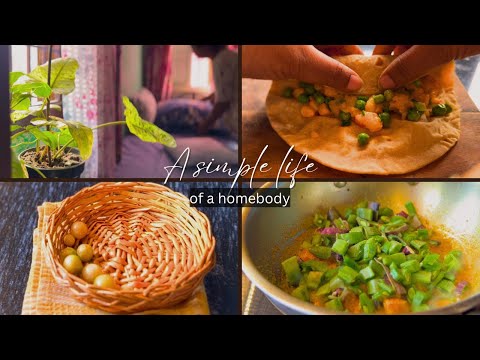 The simple life of a homebody in India  #vlog #dailylife #silentvlog #homebody #life #aesthetic 