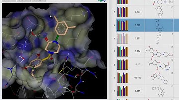 SeeSAR Affinity – Binding Affinity and Torsion Angle Analysis of Virtual Libraries