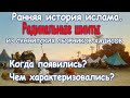 История ислама.  Радикальные шииты