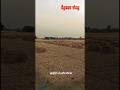 गांव के 80% किसान क्यों डरे हुए हैं?🚜😟 mini vlog day 100/74🌾👨‍🌾#minivlog #shorts #kisan #shortsfeed