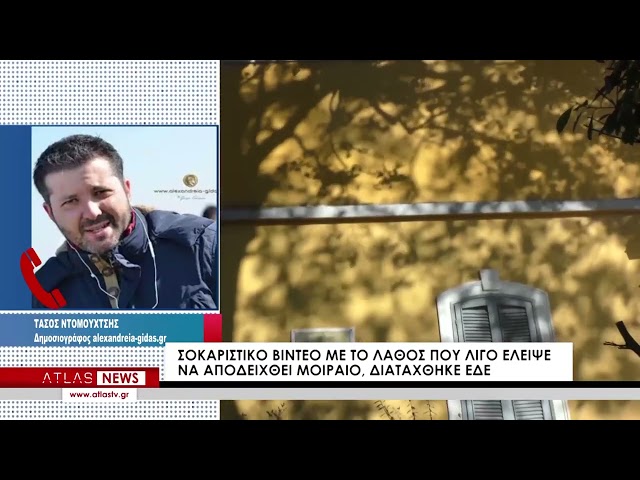 ΚΕΝΤΡΙΚΟ ΔΕΛΤΙΟ ΕΙΔΗΣΕΩΝ 22-02-2024