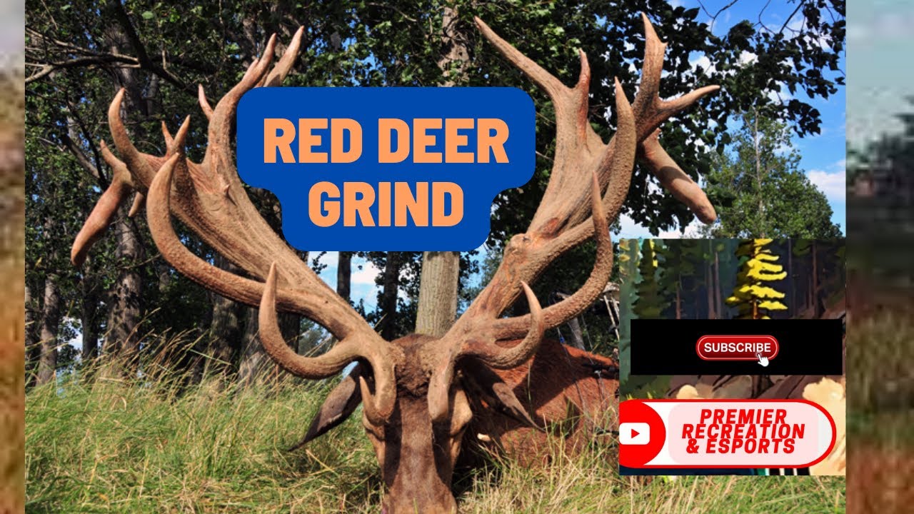 Watch this video to kill more red deer in theHunter: Call of the Wild