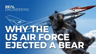 Why the us airforce ejected a bear ...