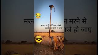 #allah bohot bada hai 🤲🤲🤲🤲🤲🤲🤲🤲🤲🥰🥰🥰🌹❤️🌹🌹❤️🥰😍😎😎😎😍😍😎😍😎😍😎😍😎😍😎😍😎😎😍😎😍😍😎😎😍😍😎😍