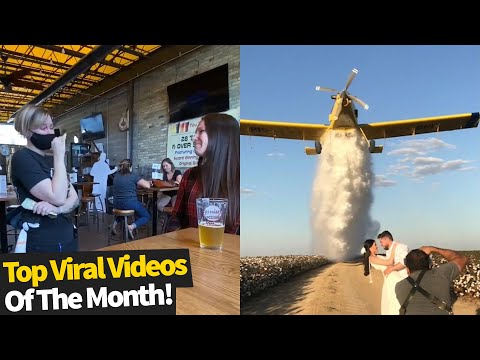 Top 50 Best Viral Videos Of The Month - October 2020
