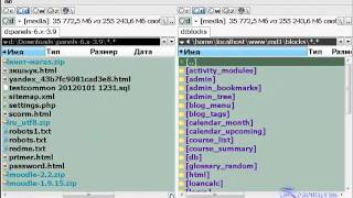 Установка плагинов в Moodle 1.9.x