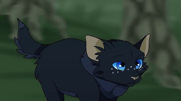 Into The Unknown | Cinderpelt MAP Part 1