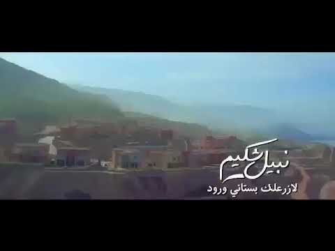 فديو كليب نبيع لي فيجو الدخلاوي وحموبيكا مهرجان يخينين غناؤ نبيل شكيم لا ازرعليك بستان ورود